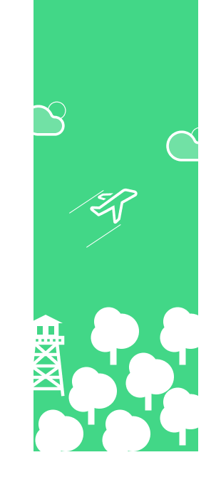 Travel illustration with airplane and trees